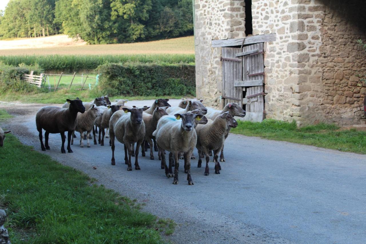 Dans La Creuse Panzió Mourioux-Vieilleville Kültér fotó